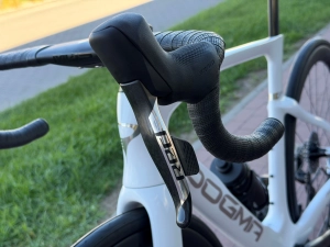 dogma red 2.jpg