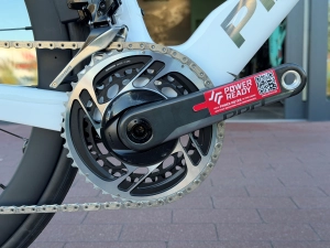 dogma red 4.jpg