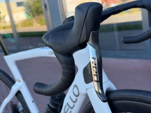 dogma red.jpg