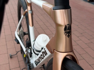 SPECIALISSIMA 3.jpg