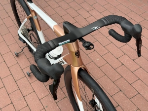 SPECIALISSIMA 4.jpg
