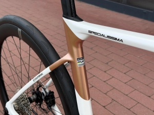 SPECIALISSIMA 6.jpg