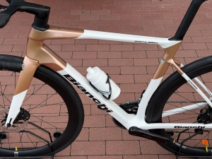 SPECIALISSIMA 7.jpg